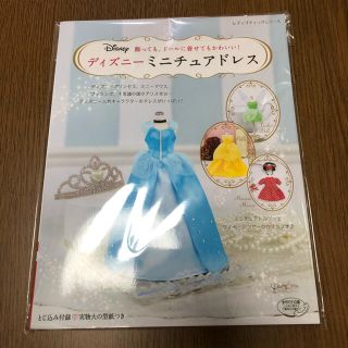 飾っても、ドールに着せてもかわいい！ディズニーミニチュアドレス とじ込み付録〓実(趣味/スポーツ/実用)