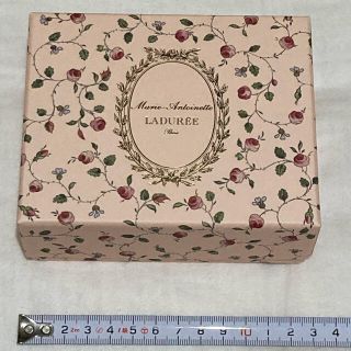 ラデュレ(LADUREE)のラデュレ　マカロン　空き箱(小物入れ)