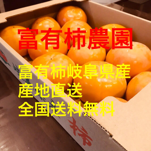 富有柿　岐阜県産地直送　②L〜2L 食品/飲料/酒の食品(フルーツ)の商品写真