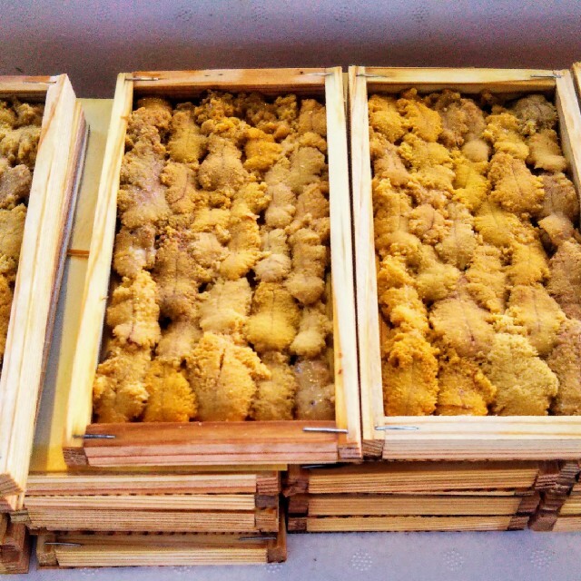令和6年産 新潟県産コシヒカリ30キロ玄米 令和6年産 新潟県産コシヒカリ30キロ玄米