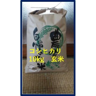 コシヒカリ10kg玄米(JA出荷時一等米)令和3年産 山形県産(米/穀物)