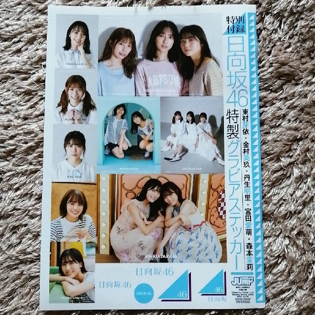 日向坂46 グラビアステッカー エンタメ/ホビーのタレントグッズ(アイドルグッズ)の商品写真