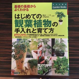 ちゃこ9605様専用はじめての観葉植物の手入れと育て方 基礎の基礎からよくわかる(趣味/スポーツ/実用)