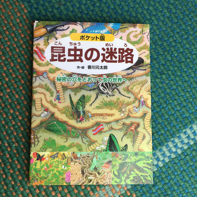 昆虫の迷路 秘密の穴をとおって虫の世界へ ポケット版 エンタメ/ホビーの本(絵本/児童書)の商品写真