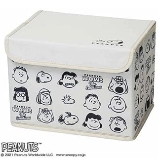 スヌーピー(SNOOPY)のsteady. ステディ. 2021年 10月号 付録のみ(小物入れ)