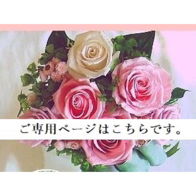 mimi様ご専用〜パラティッシ8点 - www.nigerianabii.org