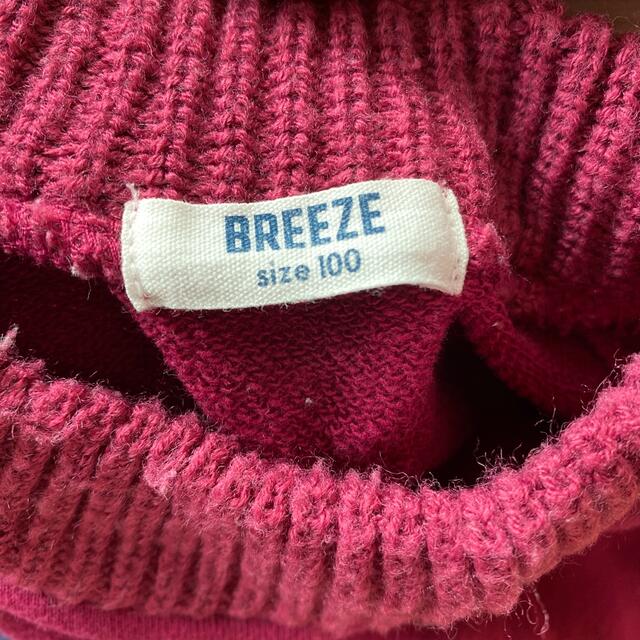 BREEZE(ブリーズ)のトレーナー　2枚セット　女の子　サイズ100 キッズ/ベビー/マタニティのキッズ服女の子用(90cm~)(ニット)の商品写真