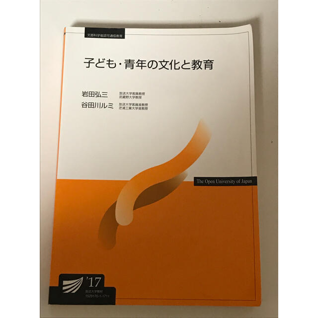 学校教材 子供・青年の文化と教育 本 エンタメ/ホビーの本(人文/社会)の商品写真