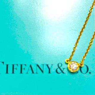 ティファニー(Tiffany & Co.)のティファニー❣️lani専用❣️(ネックレス)