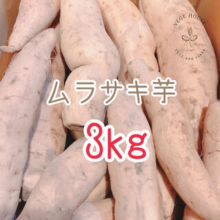 ムラサキ芋 3kg 種子島ゴールド(野菜)