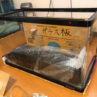 すぐ使えるアクアリウム　60cm水槽一式　＋小物オプション多数(アクアリウム)