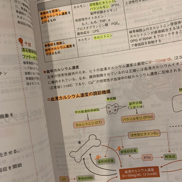 cbt パス　麻布cbt模擬試験　2022、2021 5冊セット　美品 エンタメ/ホビーの本(語学/参考書)の商品写真