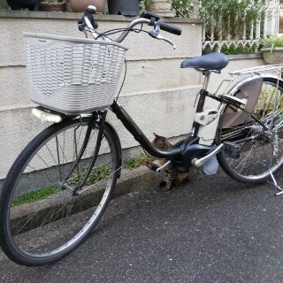 パナソニック(Panasonic)の新基準パナソニック電動アシスト自転車タイヤサイズ26インチ(自転車本体)