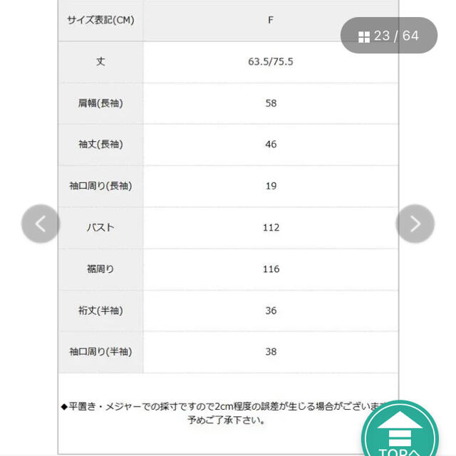 シースルトップス レディースのトップス(カットソー(長袖/七分))の商品写真