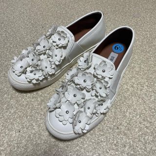 スティーブマデン(Steve Madden)のSteve Madden スリッポン 23.5 スティーブマデン(スリッポン/モカシン)