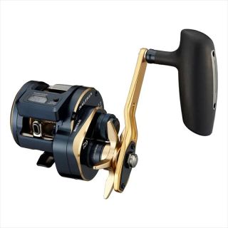 ダイワ(DAIWA)のダイワ ベイトリール 21 ソルティガIC 300HL-SJ 2021年モデル(リール)