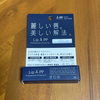 新品 リップエー プロフェッショナルプロテクション 4g 送料無料 lip a(リップケア/リップクリーム)