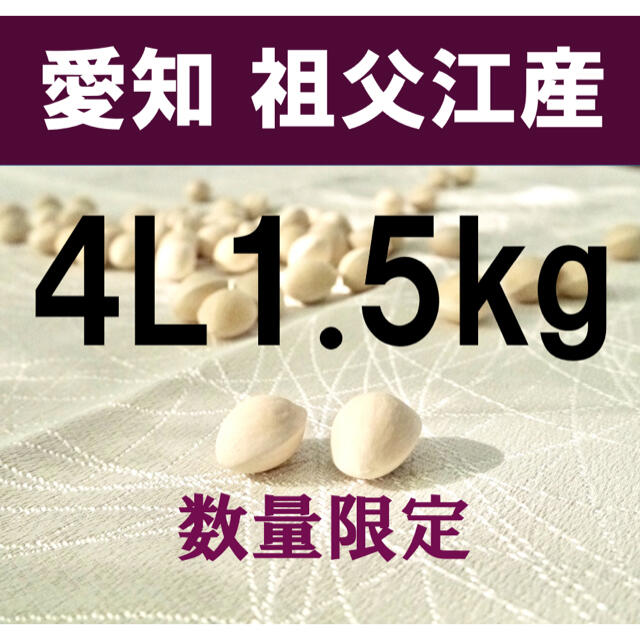 生産者直送 久寿ぎんなん 愛知県 祖父江産 銀杏　4L 1.5kg 食品/飲料/酒の食品(野菜)の商品写真