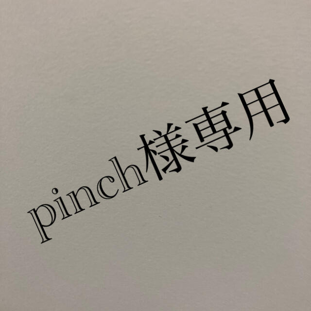 【12月スーパーSALE 15%OFF】 pinch様専用☆ ミュージシャン