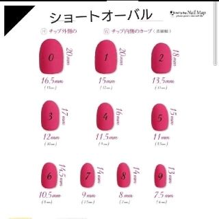 【オーダー】トラ　ネイルチップ　nail コスメ/美容のネイル(つけ爪/ネイルチップ)の商品写真