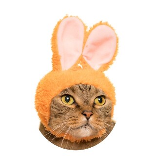 猫の帽子 キャロット色 オレンジ ねこのかぶりもの(猫)