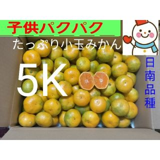 ③家庭用みかん（日南）♥小玉5K♥和歌山雪だるまから(フルーツ)