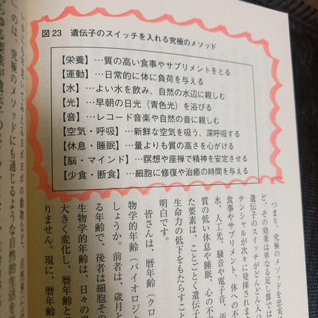 超人をつくるアスリート飯 全身の細胞が喜ぶ最強のスポーツコンディショニング エンタメ/ホビーの本(趣味/スポーツ/実用)の商品写真