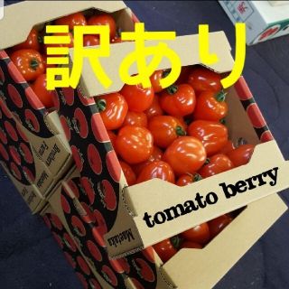 訳ありトマトベリー800g(野菜)