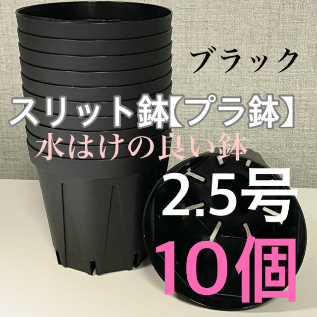 スリット鉢2.5号　直径7.5センチ　10個 ハンドメイドのフラワー/ガーデン(プランター)の商品写真