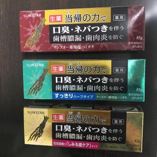 サンスター(SUNSTAR)のサンスター　薬用塩ハミガキ　当帰の力(歯磨き粉)