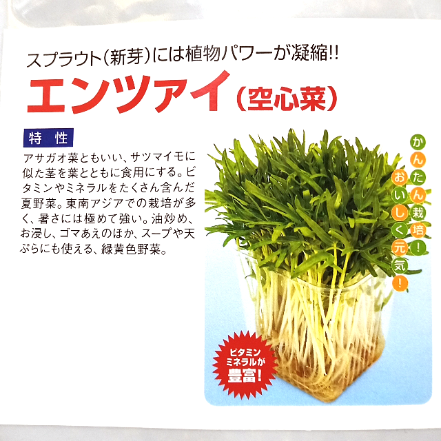 スプラウト種子 S-14 エンツァイ（空心菜） 5ml 約80粒 x 2袋 食品/飲料/酒の食品(野菜)の商品写真