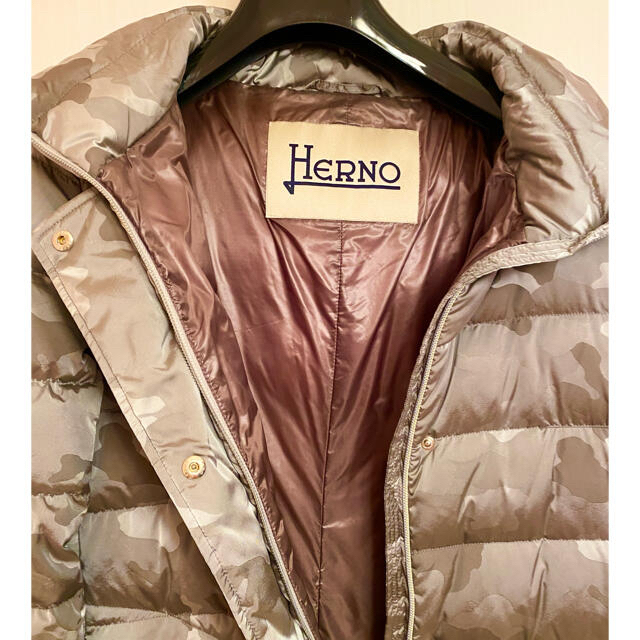 HERNO(ヘルノ)の専用最終お値下げ★極美品★HERNO グレーダウンコート　XLサイズ レディースのジャケット/アウター(ダウンコート)の商品写真