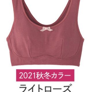 グンゼ(GUNZE)のGUNZE ナイトブラ LL 2021年モデル(ブラ)