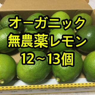 国産　無農薬レモン　オーガニック 12個(フルーツ)