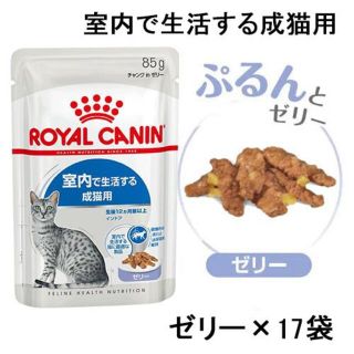 ロイヤルカナン(ROYAL CANIN)のロイヤルカナン 室内で生活する成猫用 ウェットフード17袋 ゼリー 猫(ペットフード)