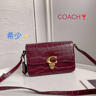 コーチ(COACH)のM_W様専用✨COACH❣️クロコダイル✨クロスボディーバッグ(ショルダーバッグ)