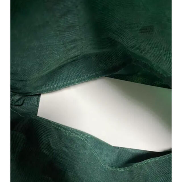 UNITED ARROWS green label relaxing(ユナイテッドアローズグリーンレーベルリラクシング)のグリーンレーベルリラクシング　ショップ袋 レディースのバッグ(ショップ袋)の商品写真