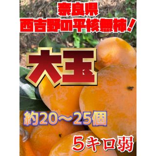 柿  5キロ 弱  平核無柿  家庭用  訳あり(フルーツ)