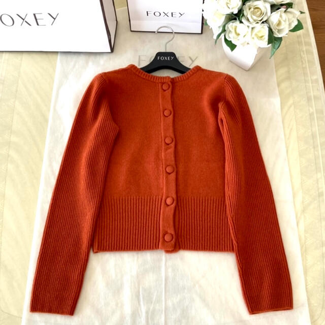 FOXEY(フォクシー)のヨッシー様　ご専用　フォクシー  ニット TORTE トルテ レディースのトップス(ニット/セーター)の商品写真