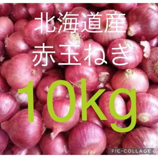 北海道産赤玉ねぎ10kg(野菜)