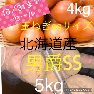 北海道産男爵ss5kg玉ねぎss4kg(野菜)