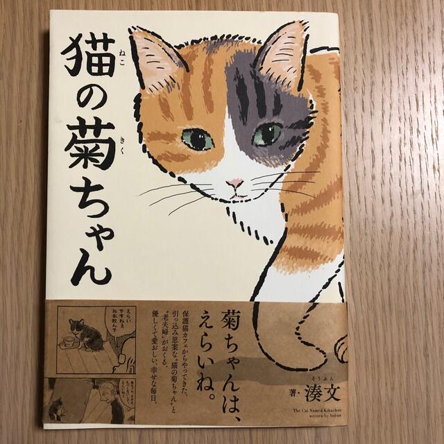 猫の菊ちゃん エンタメ/ホビーの本(文学/小説)の商品写真