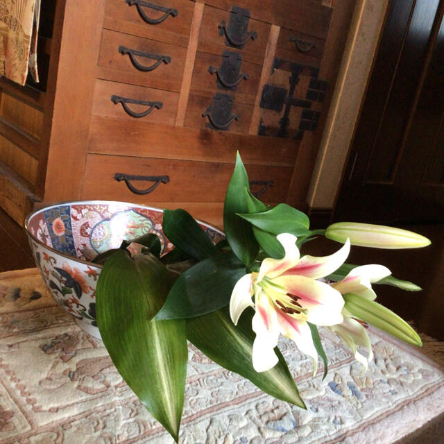 おまとめの】 A376 肥前有田 金蘭手 花籠手 唐獅子 花唐草紋様 鉢(