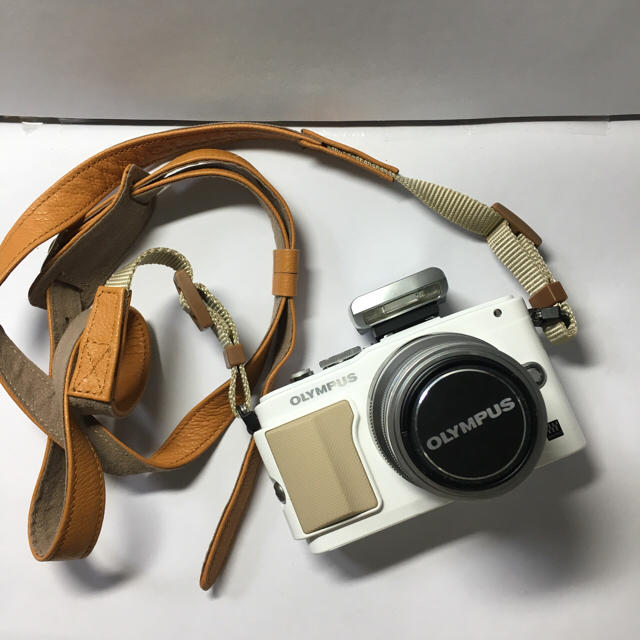 OLYMPUS オリンパス pen lite e-pl5 ズームレンズキット | tspea.org