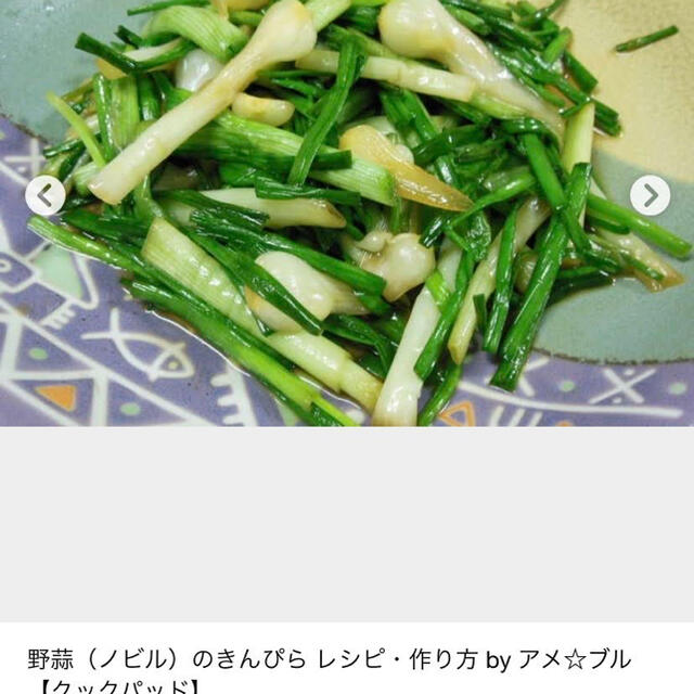 野蒜 ノビル 400g以上　 食品/飲料/酒の食品(野菜)の商品写真