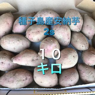 種子島産安納芋さつまいも(野菜)