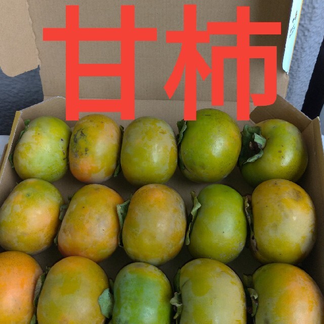 甘柿　奈良県産　無農薬 食品/飲料/酒の食品(フルーツ)の商品写真
