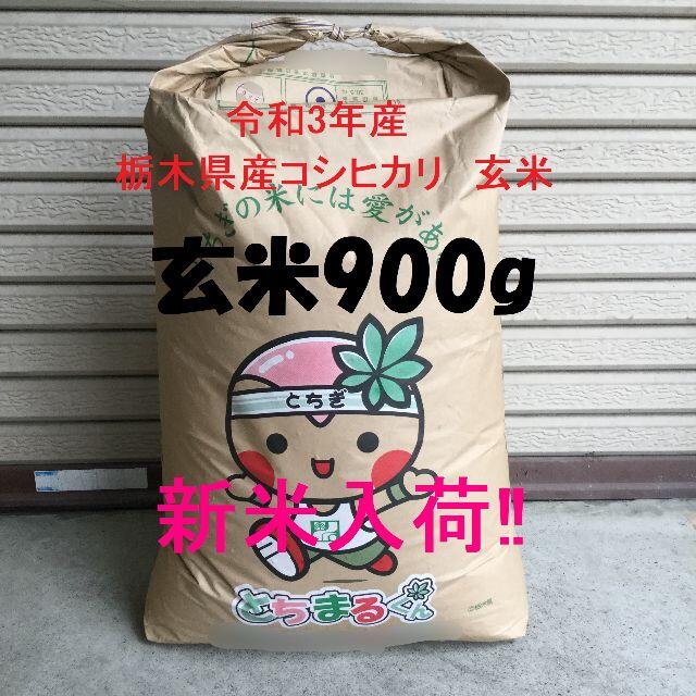 新米入荷！令和3年産　栃木県産コシヒカリ　玄米900g　お試しに最適♪ 食品/飲料/酒の食品(米/穀物)の商品写真