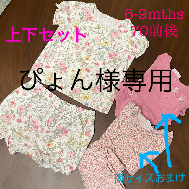 NEXT(ネクスト)の半袖Tシャツ&ショートパンツ 上下セット キッズ/ベビー/マタニティのベビー服(~85cm)(その他)の商品写真