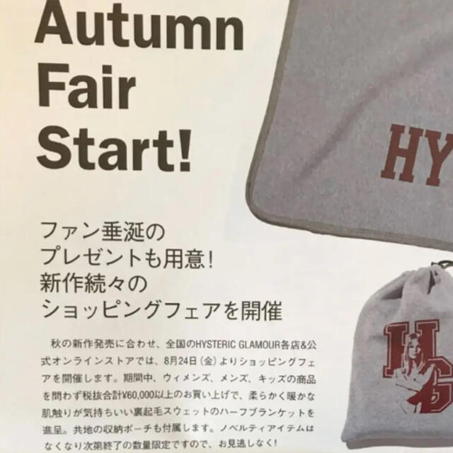 HYSTERIC GLAMOUR(ヒステリックグラマー)の【新品 未使用品】ヒステリックグラマー ノベルティ　ブランケット レディースのレディース その他(その他)の商品写真